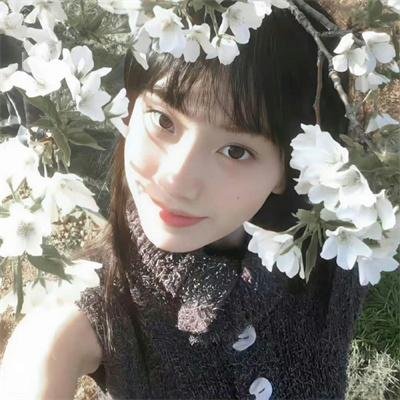 小莫莉大冒险